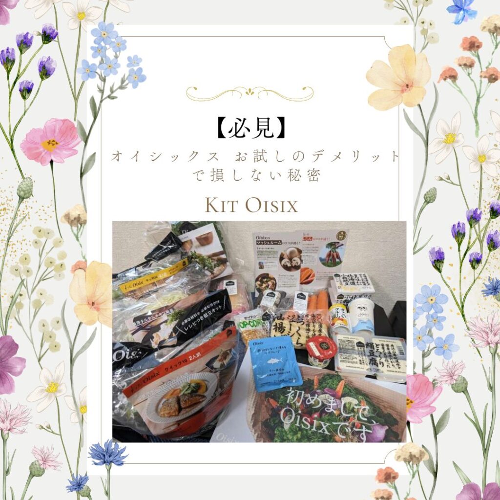 【必見】オイシックス お試しのデメリットで損しない秘密